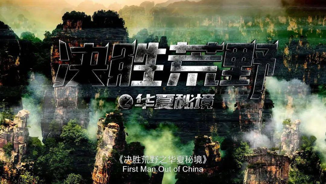 创作猫
