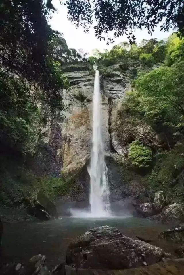 次元喵